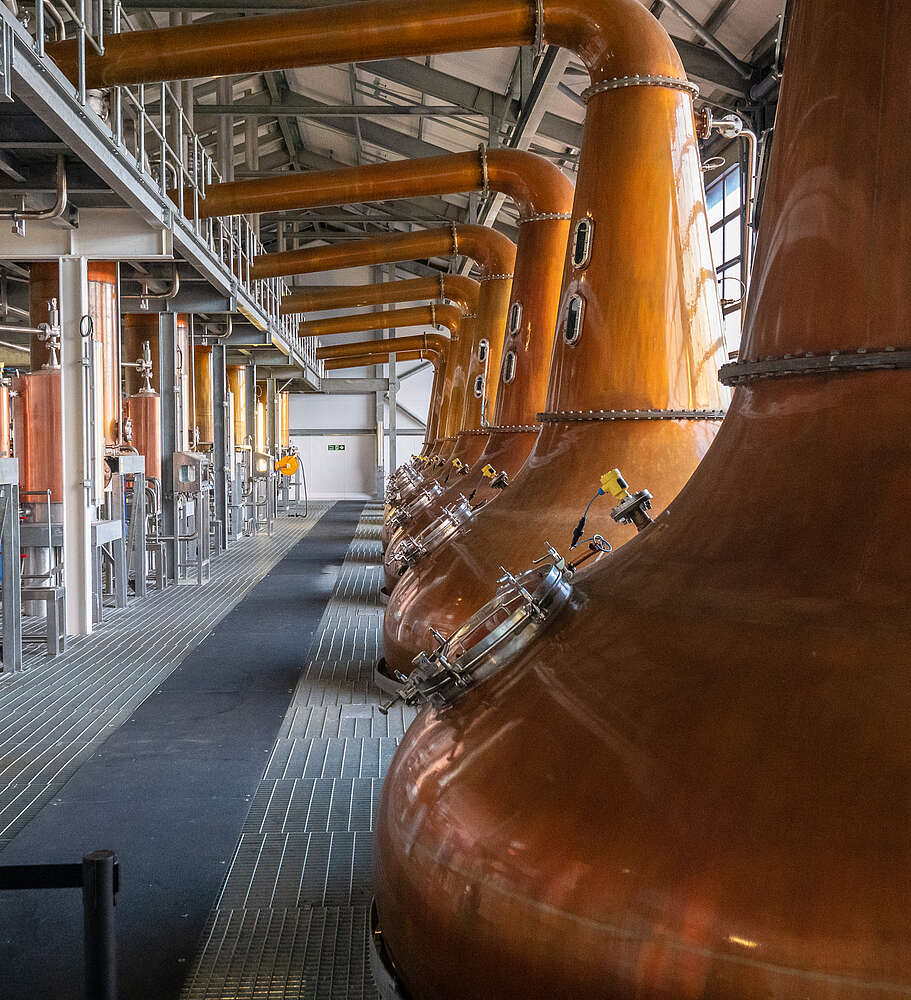 Interior of Glen Ord Distillery showing a row of large copper pot stills in the still house.